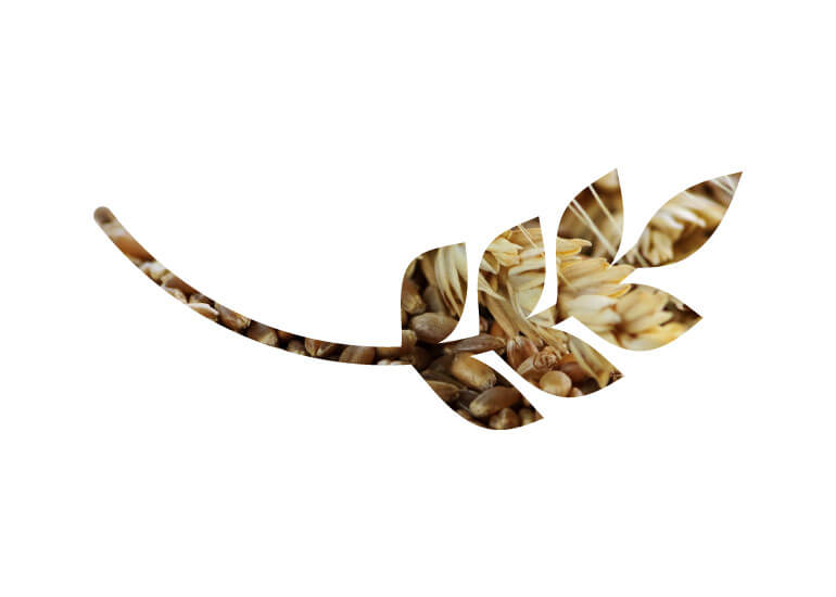 logo artistique d’un grain de blé