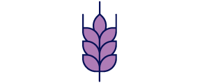 logo of a grain kernel